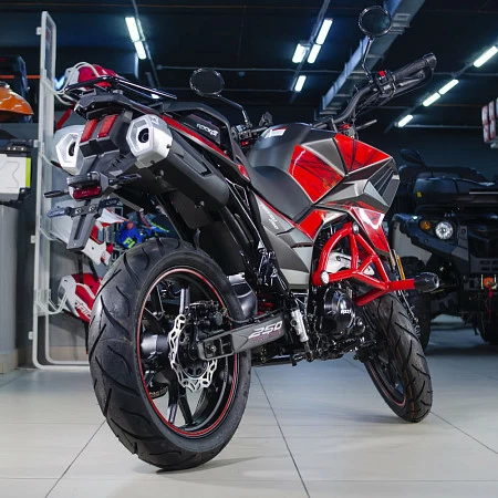 Мотоцикл турэндуро ROCKOT HOUND 250 LUX (красный, ЭПТС)