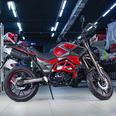 Мотоцикл турэндуро ROCKOT HOUND 250 LUX (красный, ЭПТС)